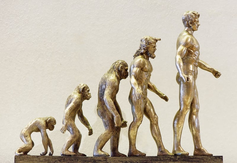 Device Evolution